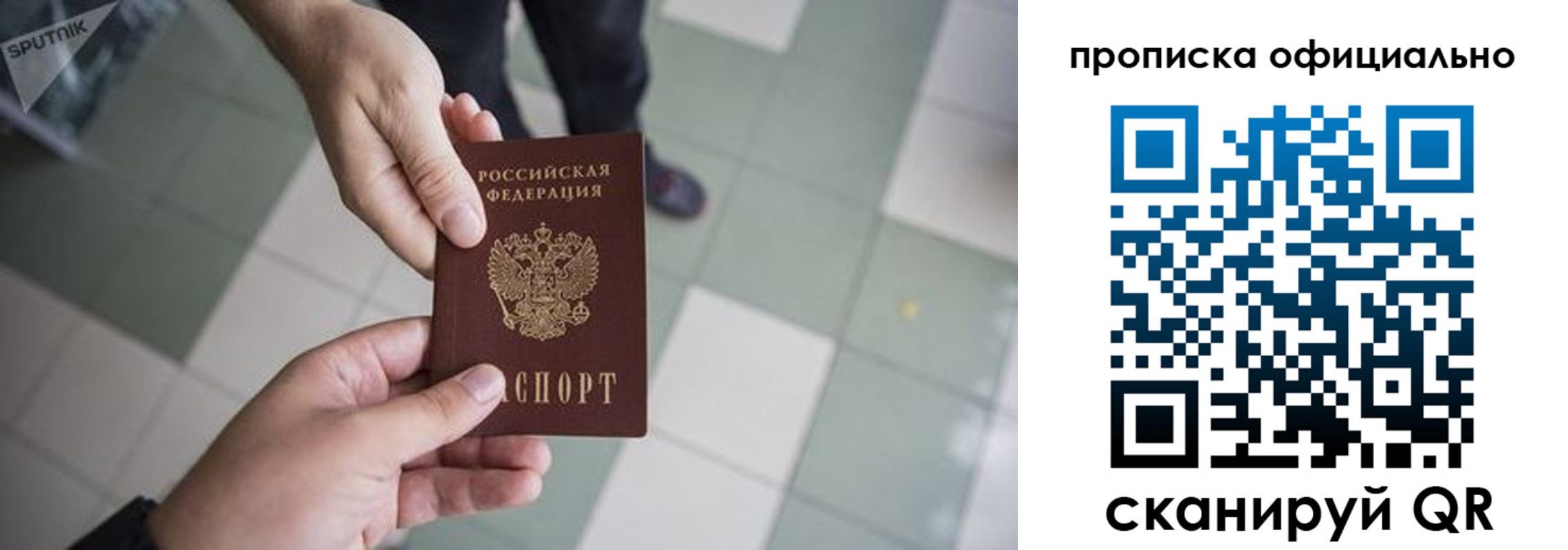 прописка законно в Химках
